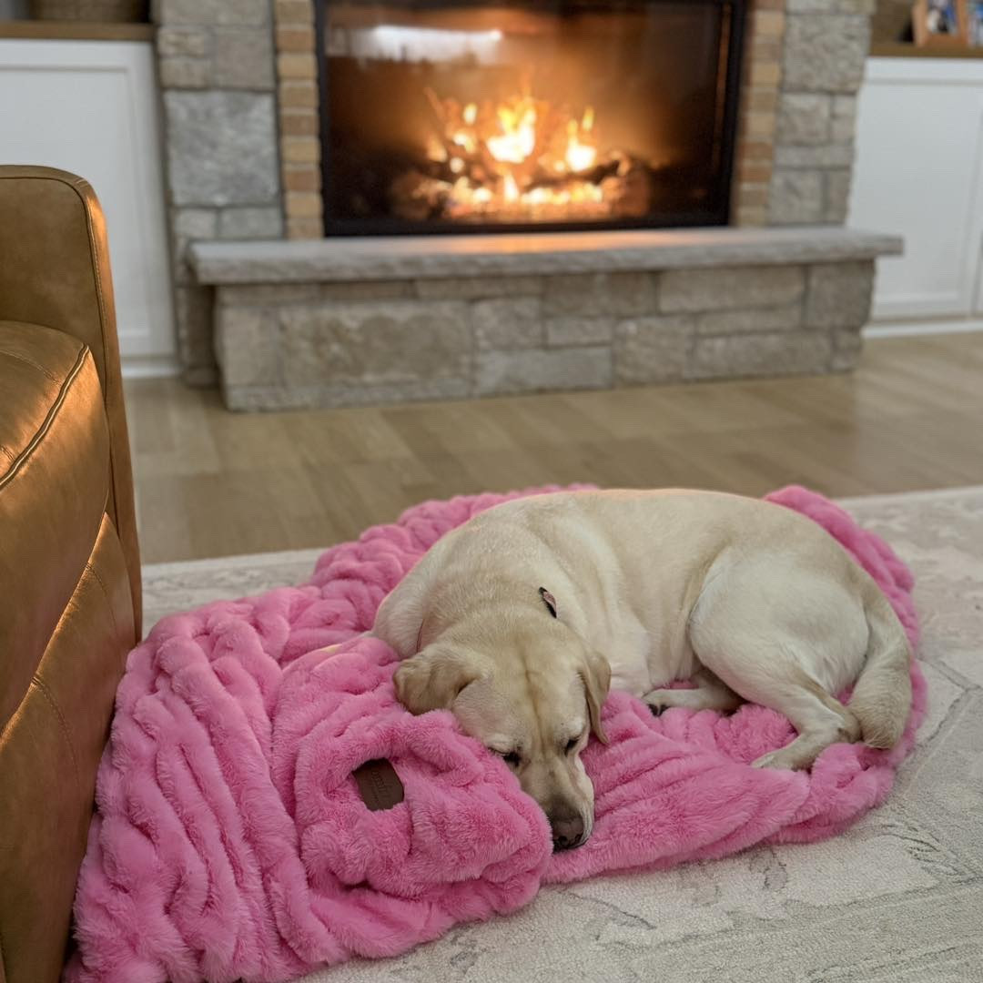 So impressed with the COMFRT Dreamer Blanket! Incredible soft and cozy, and the large is HUGE!

#LTKHome #LTKselfcare #LTKValentine