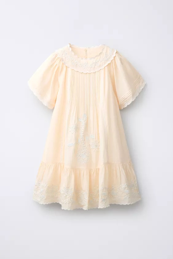 EMBROIDERED DRESS | Zara US