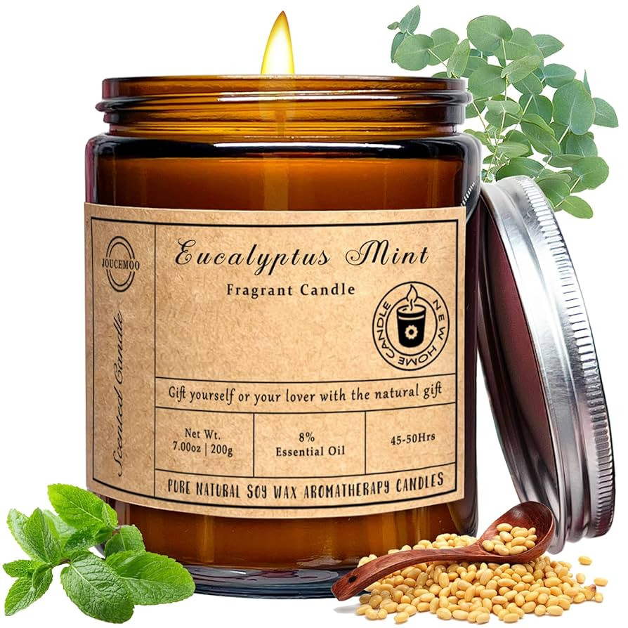 Scented Candles, 7oz Eucalyptus Mint Candles for Home Scented, Soy Wax Aromatherapy Candle for Re... | Amazon (US)