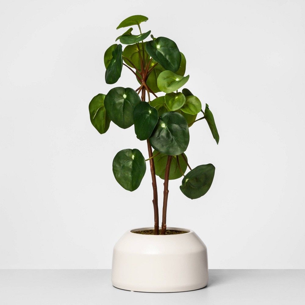22"" x 9.5"" Artificial Potted Pilea Plant Green - Opalhouse , White Green | Target