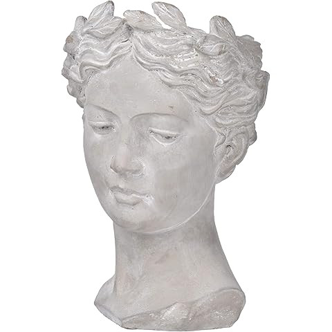 Female Statue Head Cement Planter, Greek/Roman Style Creative Portrait Cement Flower Pot, Unique ... | Amazon (US)