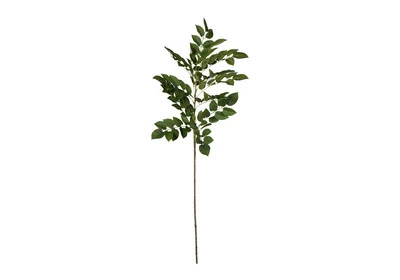 GREENWOOD BRANCH | Alice Lane Home Collection