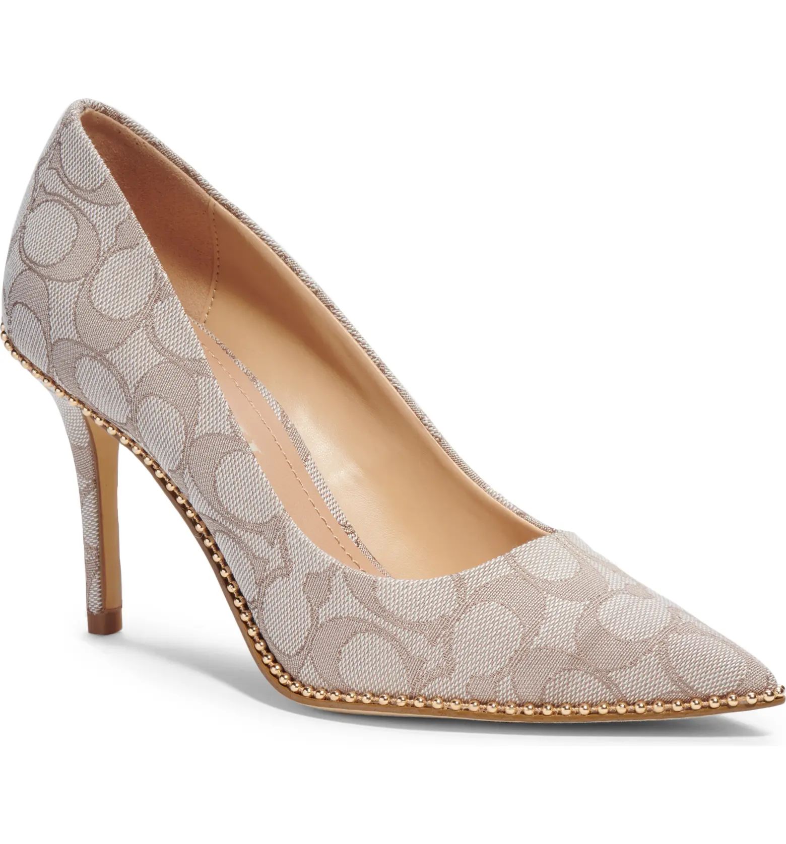 Waverly Pointed Toe Pump (Women) | Nordstrom