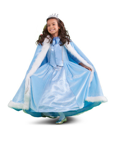 Kids Enchanted Princess Costume | TJ Maxx