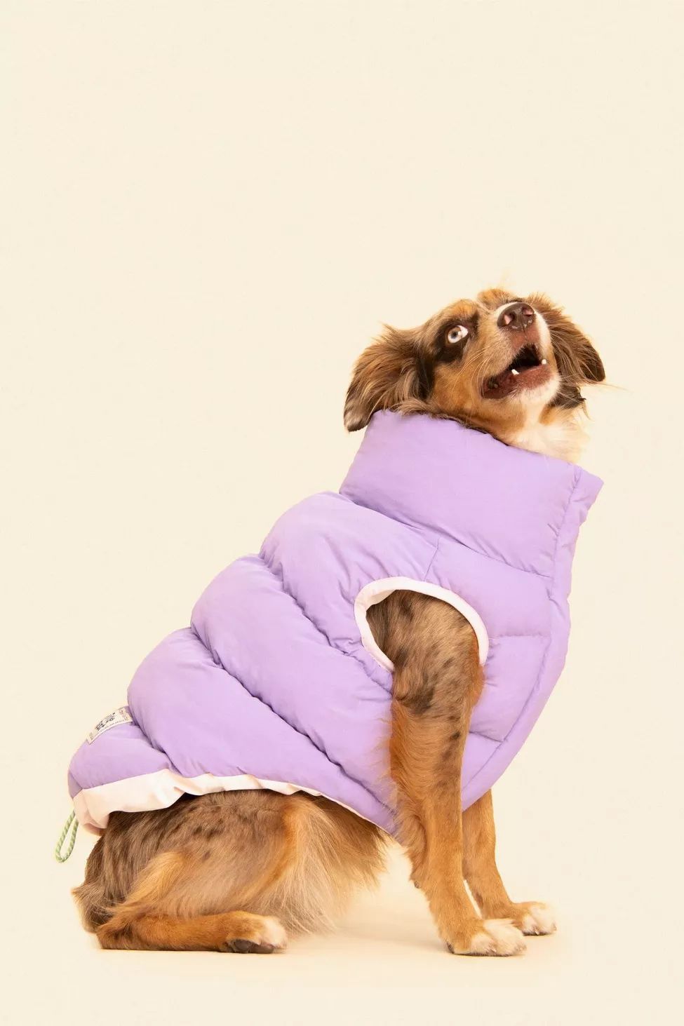 Little Beast Reversible Pet Puffer Vest | Urban Outfitters (US and RoW)
