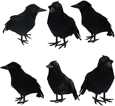 Dazzle Bright 6Pack Halloween Black Feathered Crows Decor, Holiday Decoration for Indoor Outdoor ... | Amazon (US)