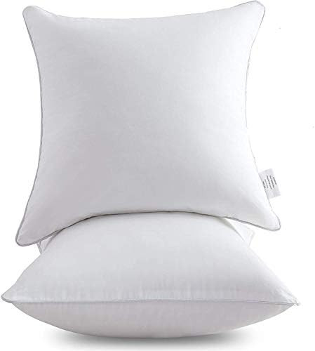 Oubonun 24 x 24 Pillow Inserts (Set of 2) - Throw Pillow Inserts with 100% Cotton Cover - 24 Inch Sq | Amazon (US)