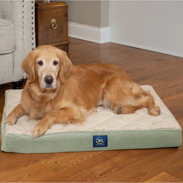 Quilted Pillowtop Pet Bed | Wayfair North America