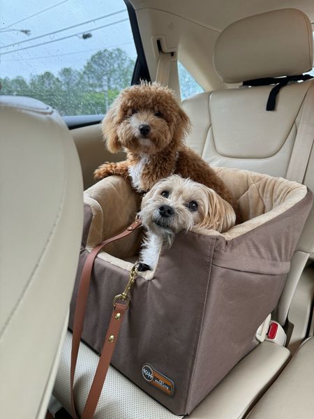 A must for traveling with dogs this summer- a car seat for small dogs that’s safe. Comes with restraints for 2 dogs. This is the medium size and both dogs fit well in it. It’s expensive but worth the peace of mind. 

#LTKTravel