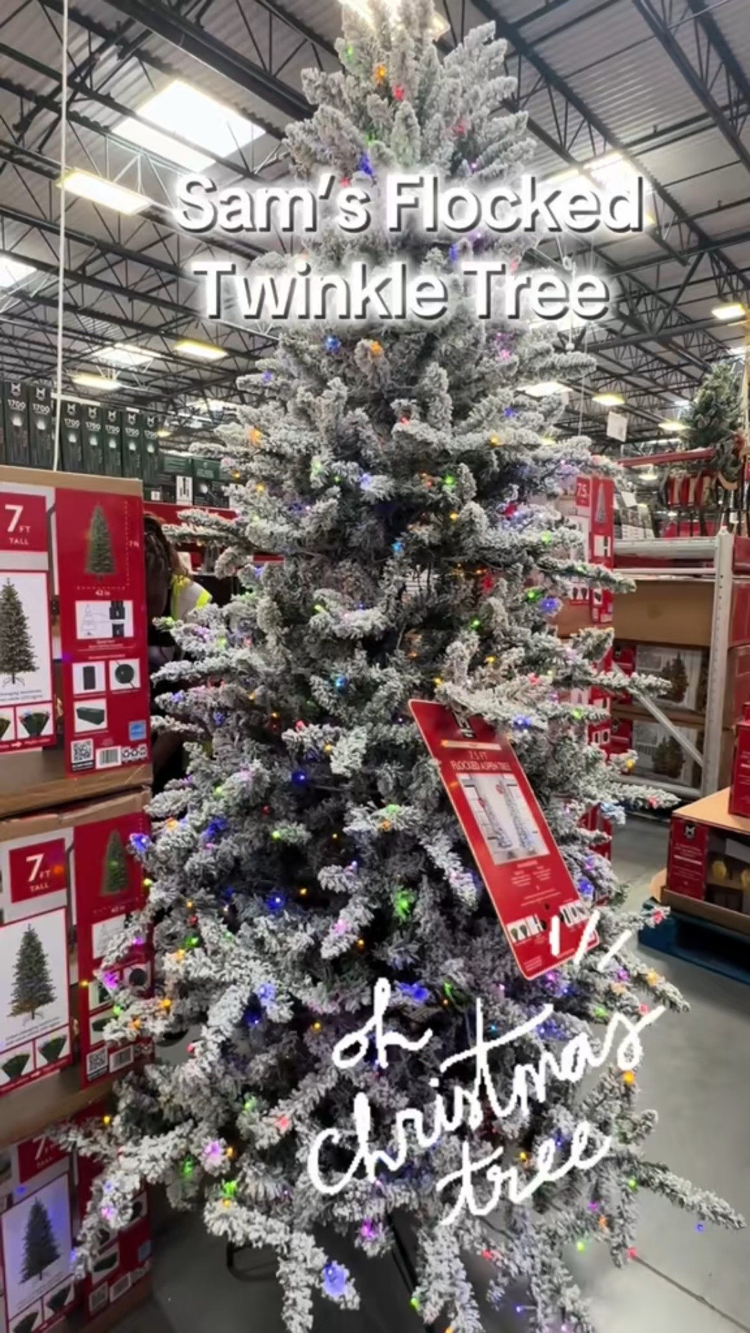 This flocked tree has warm white and color twinkle lights.  So pretty! 

#LTKSeasonal #LTKHome