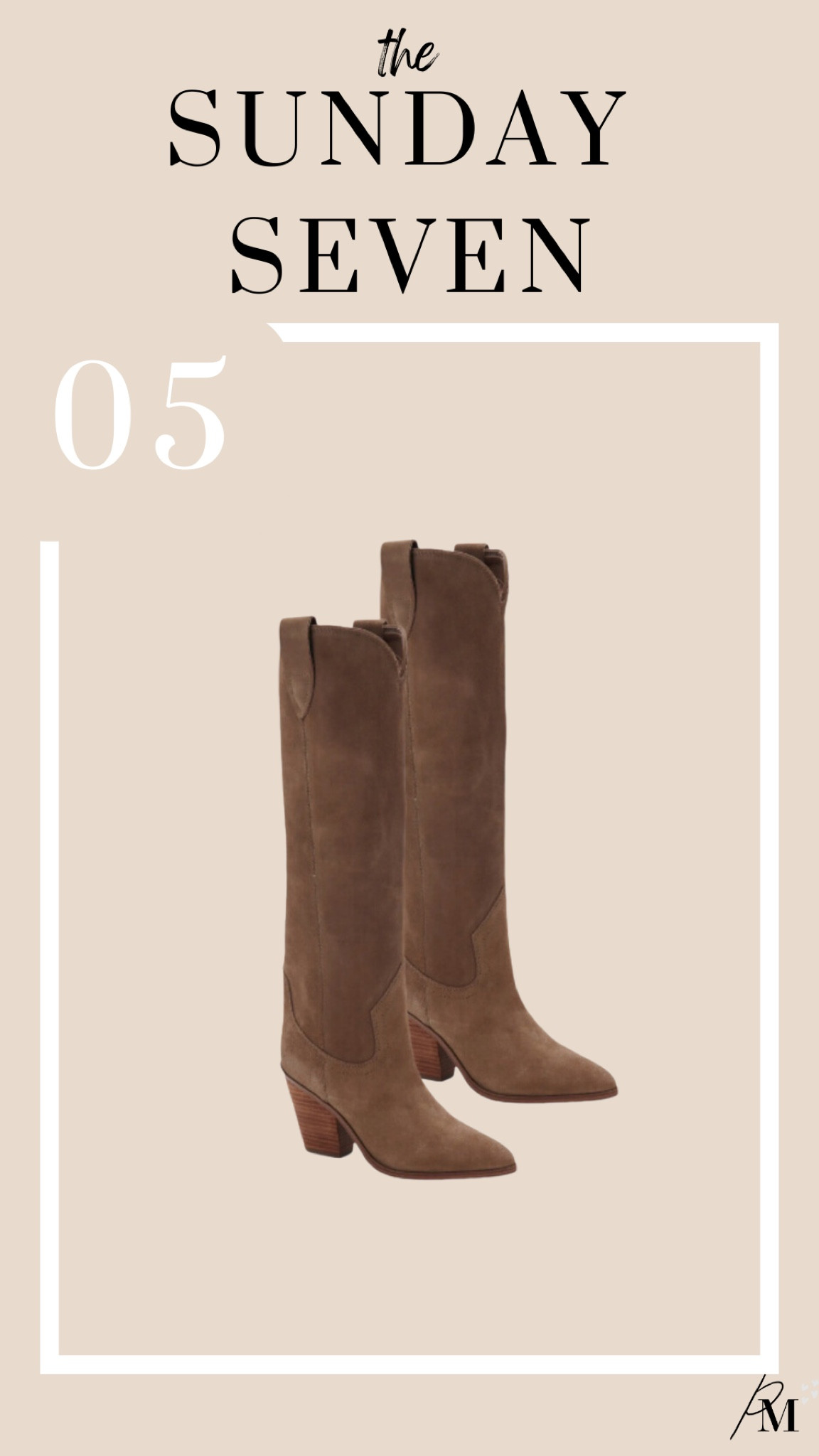Wylde Pointed toe boots