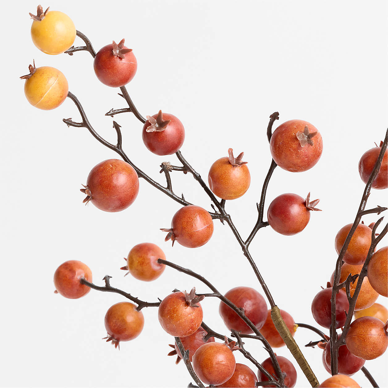 Faux Orange Crab Apple Stem 32" | Crate & Barrel | Crate & Barrel