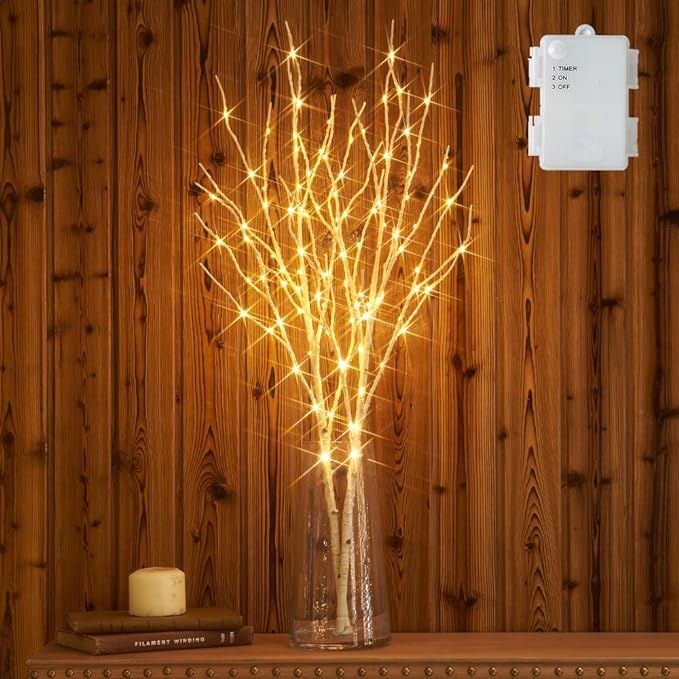 Hairui Lighted Artificial Twig Birch Branch with Fairy Lights 30IN 100 LED Battery Operated, Whit... | Amazon (US)