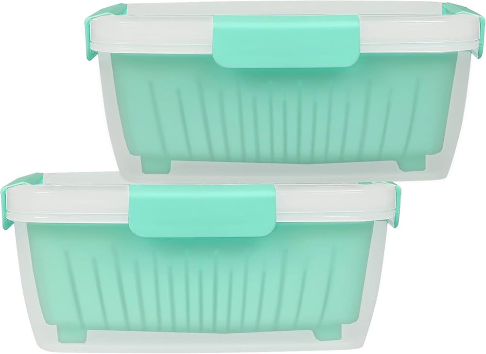 shopwithgreen 2 Pack 68oz Berry Keeper Container, Fruit Produce Saver Food Storage Containers wit... | Amazon (US)