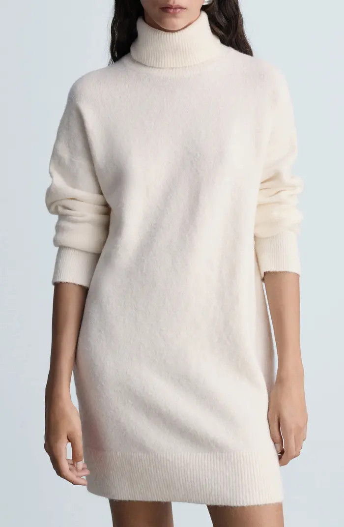 Taldote Long Sleeve Turtleneck Sweater Dress | Nordstrom