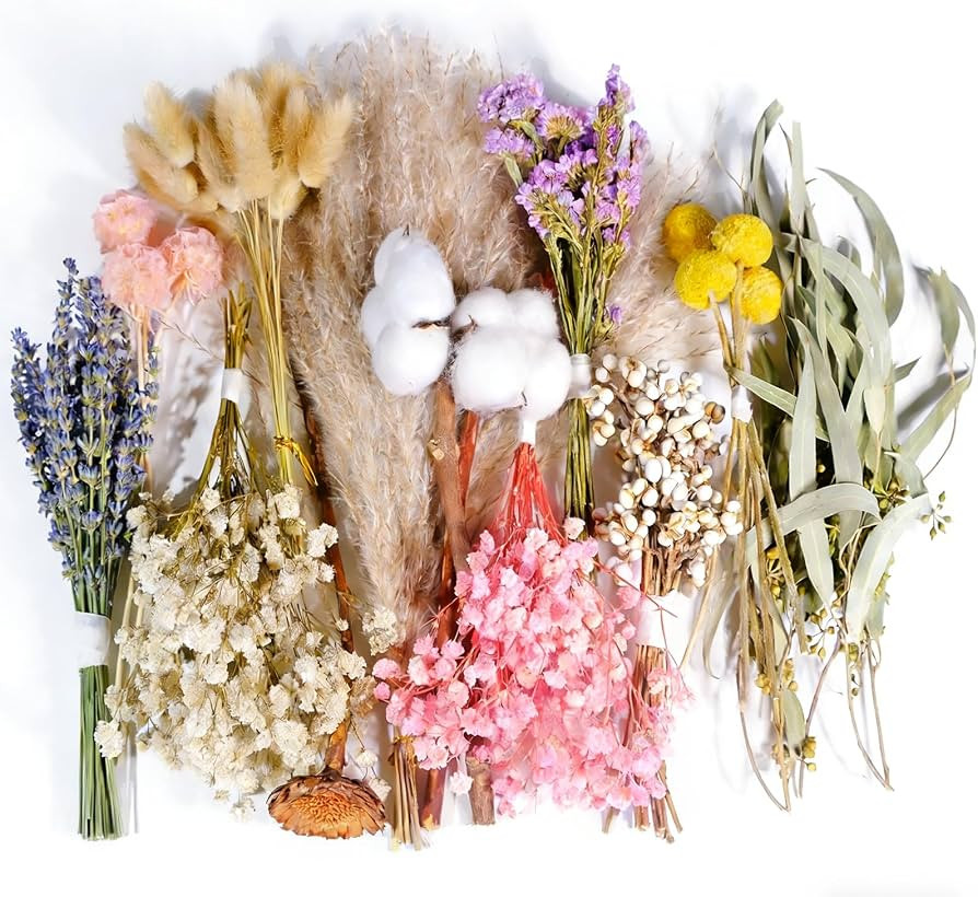 12 Kinds Natural Dried Flower Set, Bulk Dried Flowers for Vase,Mini Dried Flower Bouquets,Dried F... | Amazon (US)