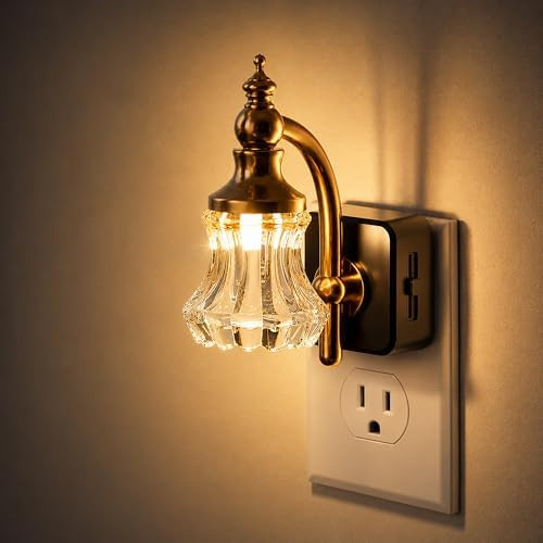 JandCase Night Light, Night Lights Plug into Wall, Glass Flower Nightlight | LED 0-100LM Dimmable... | Amazon (US)