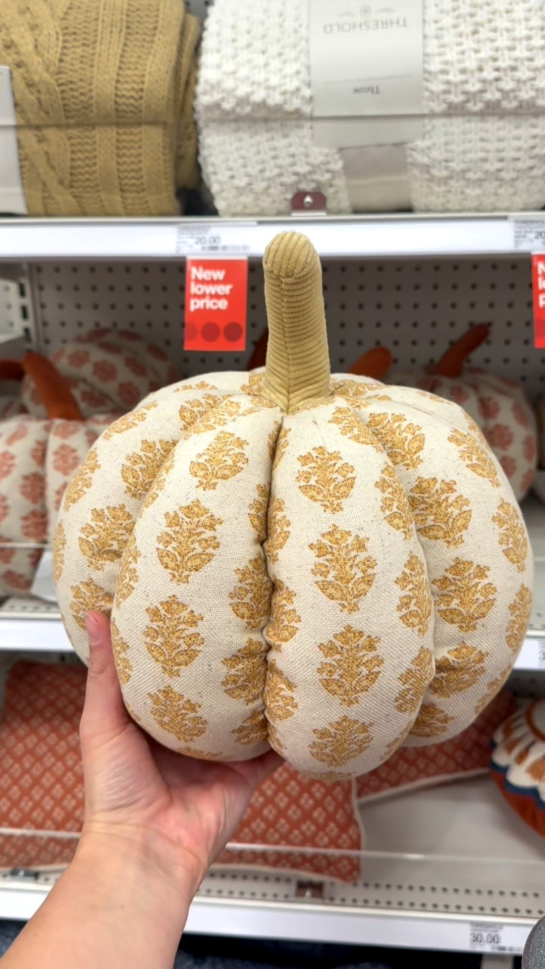 Autumn Fall Decor at Target!! 🍁🍂✨

#LTKStyleTip #LTKSeasonal #LTKFallSale