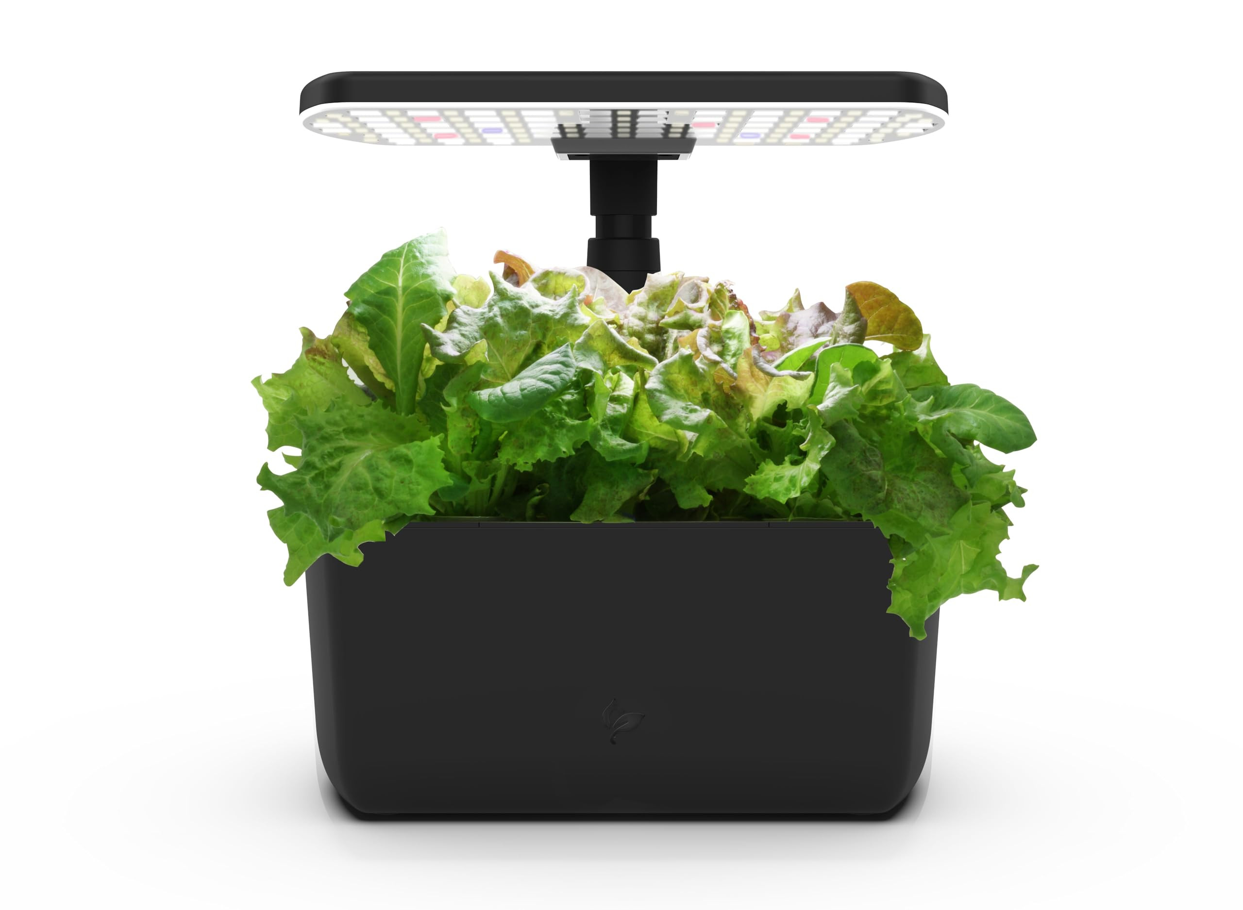 AeroGarden Harvest Lite in Black, Soil-Free Indoor Hydroponic Garden with LED Grow Light for Year... | Amazon (US)