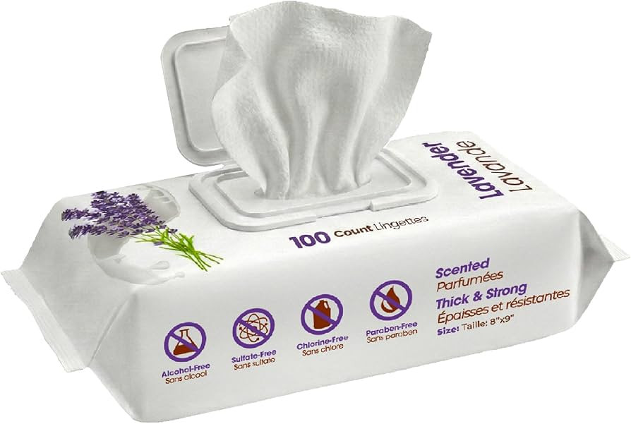 Best Pet Supplies 8" x 9" Large Dog Wipes - Cleaning and Deodorizing for Paws and Coat - Gentle F... | Amazon (US)