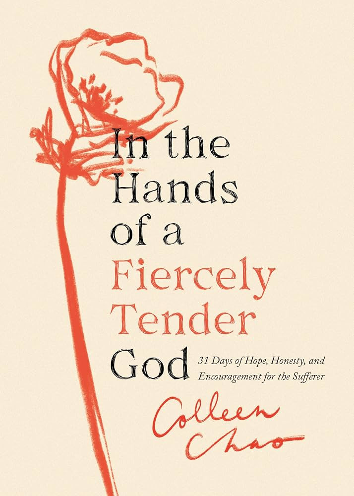 In the Hands of a Fiercely Tender God: 31 Days of Hope, Honesty, and Encouragement for the Suffer... | Amazon (US)