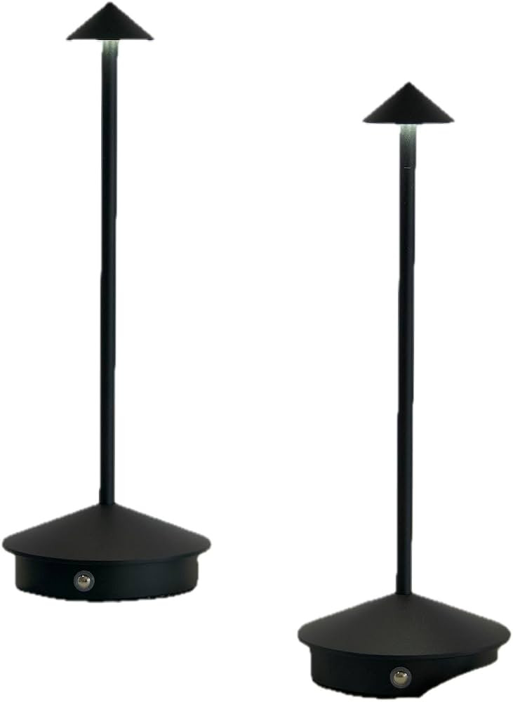 Modern Rechargeable Indoor/Outdoor Table LAMP (Black) | Amazon (US)