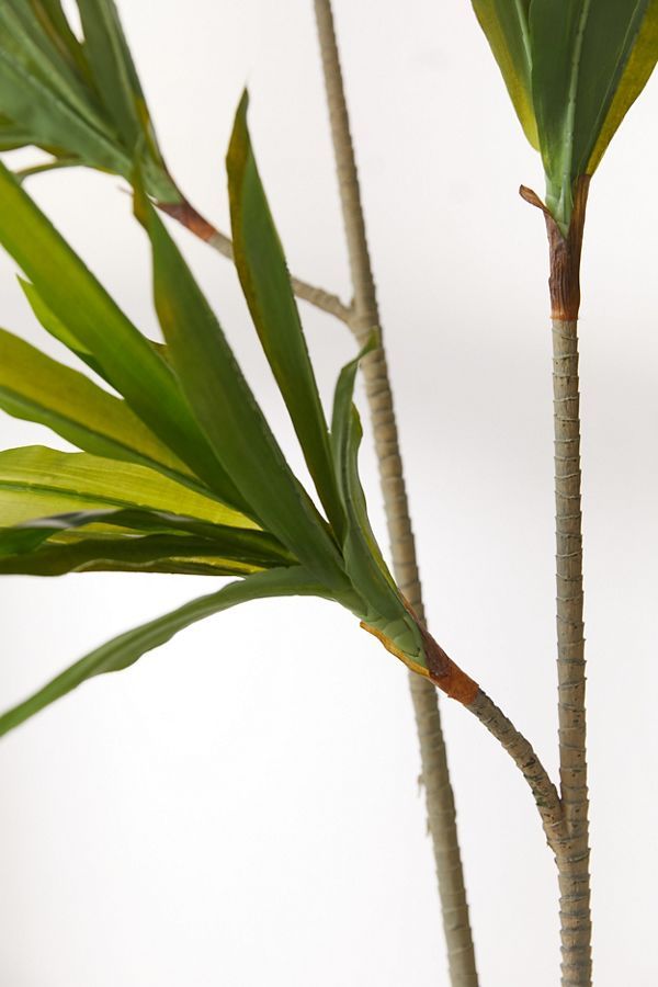 Dracena 5’ Potted Faux Tree | Urban Outfitters (US and RoW)