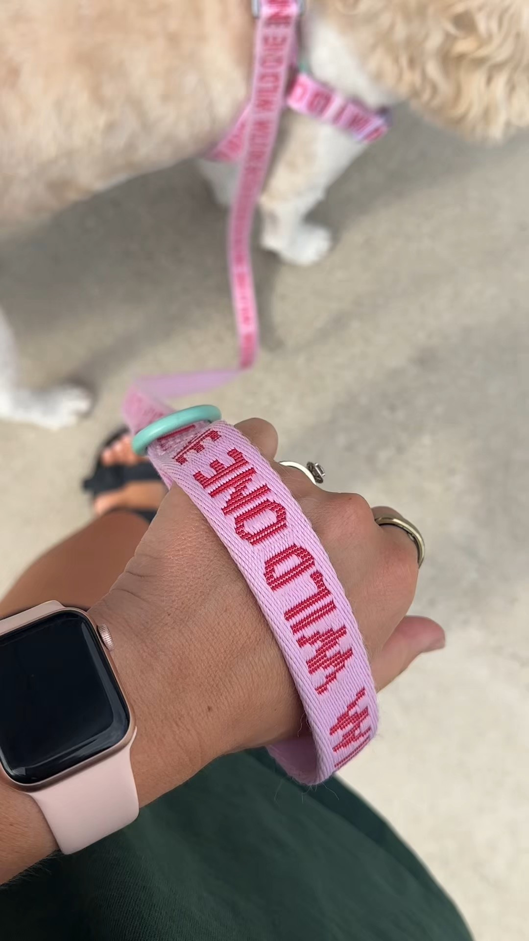 Have you seen this exclusive Walmart Wild One line yet? It’s soooo cute and so far the best harness for preventing Frankie’s pulling while on walks. 10/10

#LTKPets #LTKActive