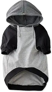 Pet Passion Rocky – The Original Lightweight Hooded Tee 100% Organic Cotton Dog Hoodie Pet Coat... | Amazon (US)