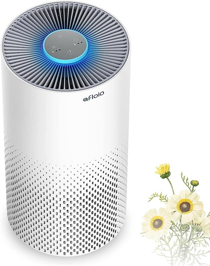 Air Purifier for Home Smokers 99.99% Effective, 22db |True H13 HEPA Medical Grade Filter Air Clea... | Amazon (US)