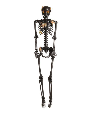 62in Led Hanging Skeleton With Glitter Spiders | Marshalls