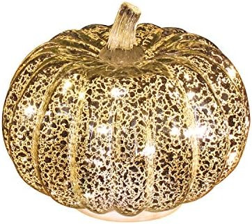 Romingo Mercury Glass Pumpkin Light with Timer for Halloween Pumpkin Decorations Fall Decor,Silve... | Amazon (US)