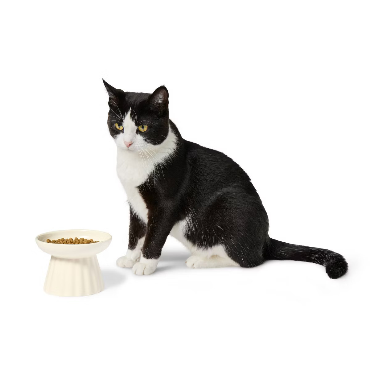 Fluted Ceramic Cat Dish - Cream - The Cuddle Collab with Maple Cat | Target
