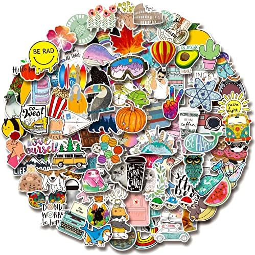 100 PCS Water Bottle Stickers, Laptop Vinyl Cute Waterproof Skateboard Scrapbook Vsco Stickers Ae... | Amazon (US)
