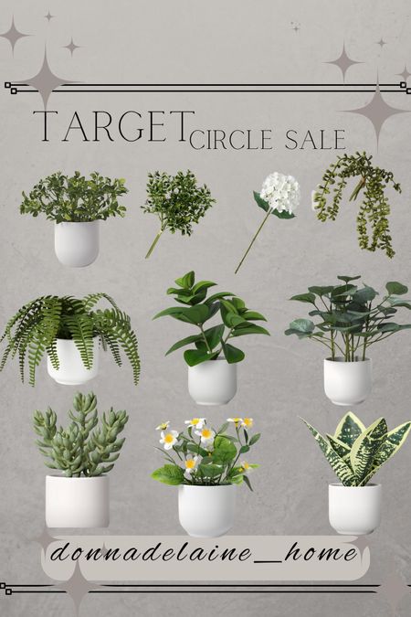 Cute minis and stems ..now only $3.50! Perfect little faux plants for shelf styling, nightstands, bathroom counters..  ! 
Sale alert 
Target circle sale 

#LTKhome