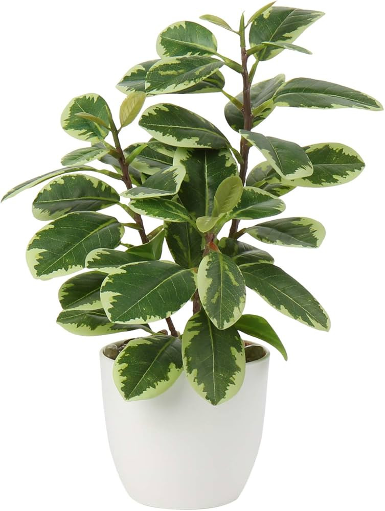 Visit the Briful Store | Amazon (US)