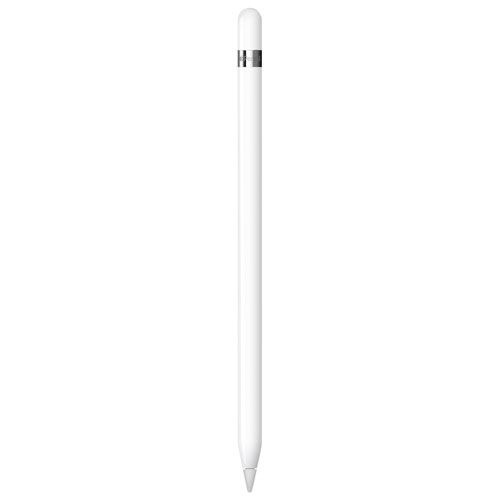 Apple Pencil (1st Generation) with USB-C Adapter for iPad - White | Best Buy Canada