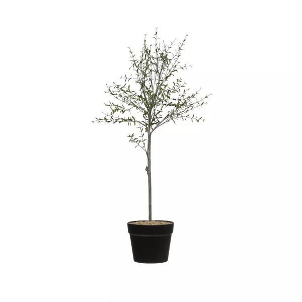 Faux Thyme Topiary In Pot | Scout & Nimble