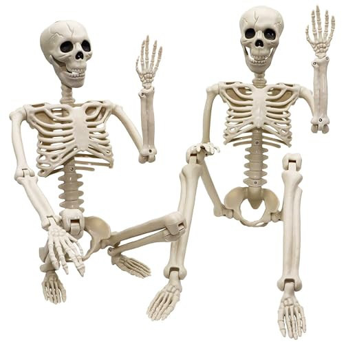 2 Pack 36"Halloween Skeleton - 3 ft Life Size Human Skeleton with Full Body Posable Joints Plastic Skeleton for Halloween Skeletons Decor Yard Patio Lawn Garden Skeleton Props Spooky Party Decoration | Amazon (US)
