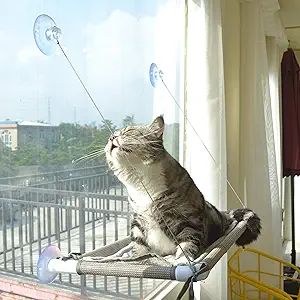 Cat Bed Window, Cat Window Hammock Window Perch , Safety Cat Shelves Space Saving Window Mounted ... | Amazon (US)