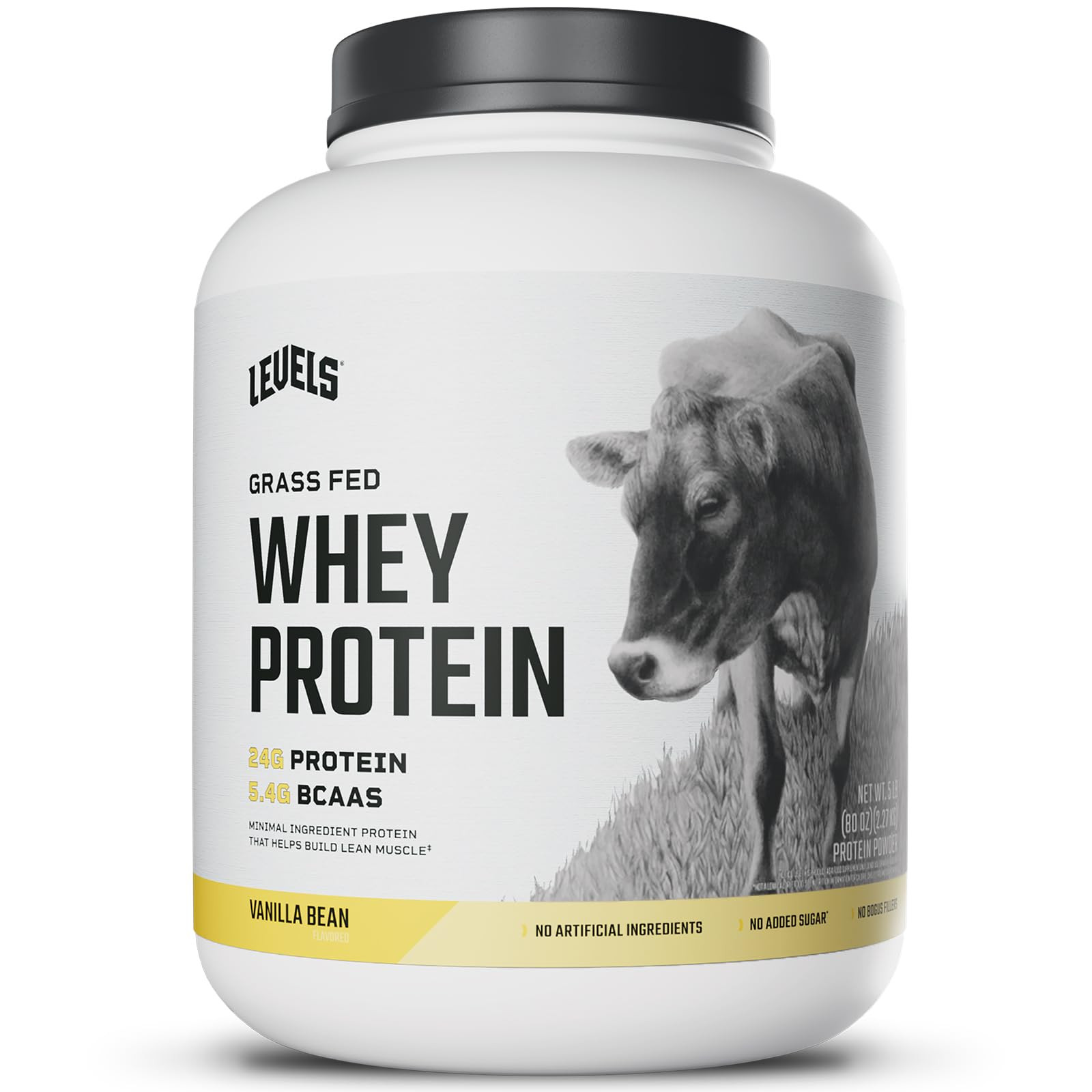Levels Grass Fed Whey Protein Powder, No Artificials, 24G of Protein, Vanilla Bean, 2LB | Amazon (US)