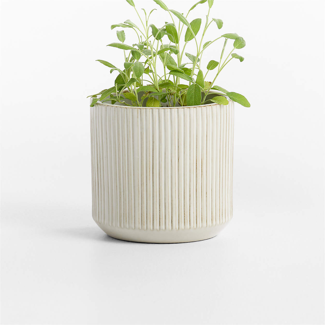 Tulu 6.25" x 6.50" White Indoor/Outdoor Ceramic Planter + Reviews | Crate & Barrel | Crate & Barrel