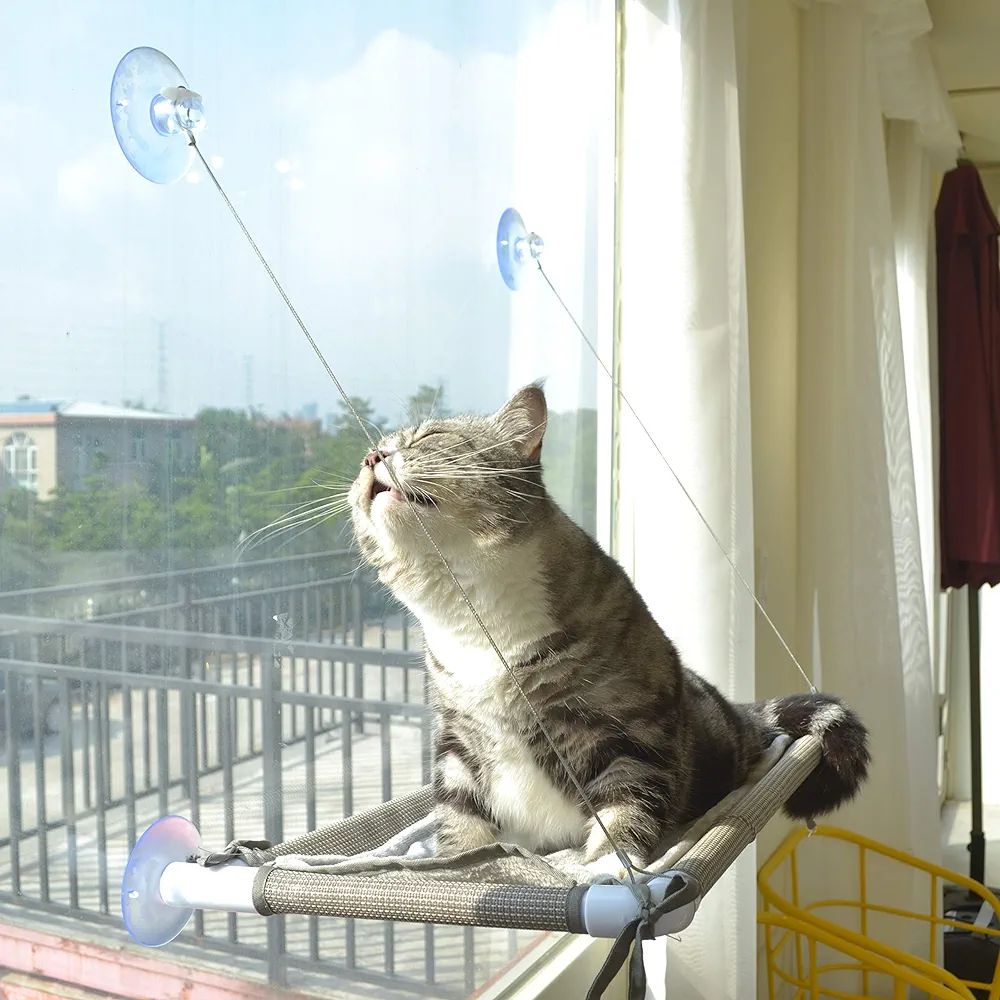 Cat Bed Window, Cat Window Hammock Window Perch, Safety Cat Shelves Space Saving Window Mounted C... | Amazon (US)