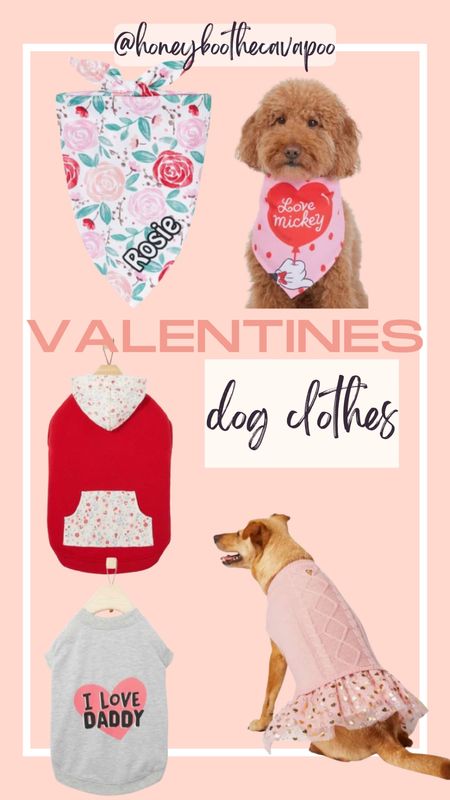 #chewy
#pets #petfinds 

Dog clothes 
Cute 
Valentine 
Dog must haves 
Pet favorite 


#LTKGiftGuide #LTKsalealert #LTKSeasonal