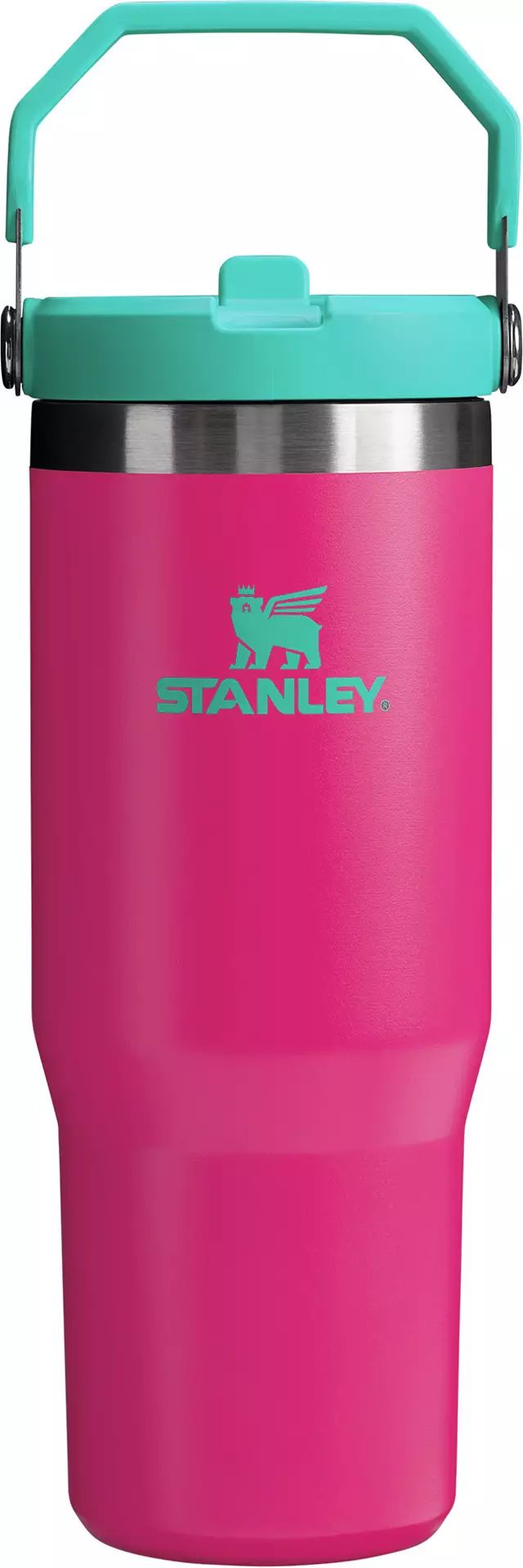 Stanley 30 Oz. IceFlow Tumbler with Flip Straw | Dick's Sporting Goods | Dick's Sporting Goods