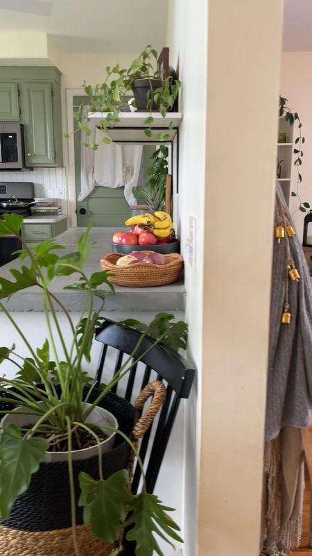 Plants in the kitchen & living room



#LTKhome #LTKfindsunder100 #LTKstyletip