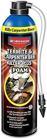 BioAdvanced 700420A Termite & Carpenter Bee Killer Plus Pesticide, 18 oz, Foam Spray | Amazon (US)