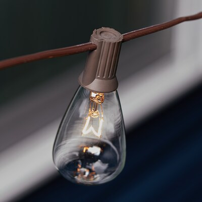 allen + roth 33-ft Plug-in Brown Indoor/Outdoor String Light with 30 White-Light Incandescent Edi... | Lowe's