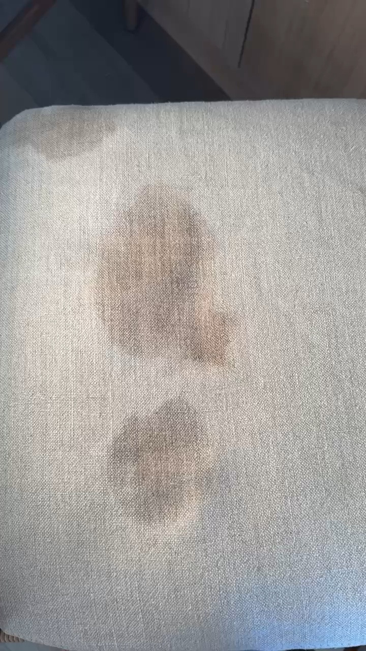 The best stain remover for the toughest stains!

#LTKFindsUnder50 #LTKKids #LTKHome