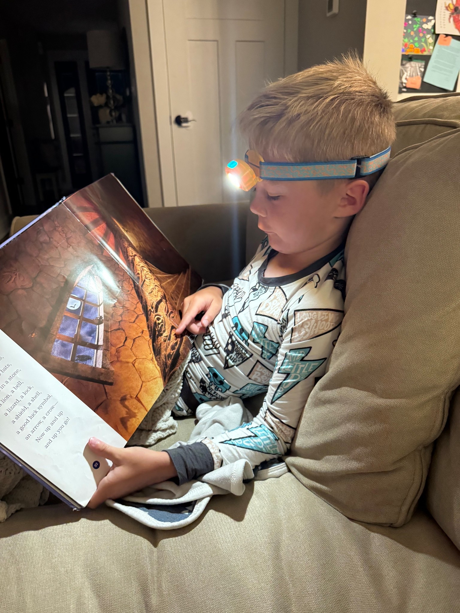 Carter always brings home I-spy books from school and this headland is the best. It has different settings and colors and could be fun outside at night too! 

#LTKKids #LTKFamily